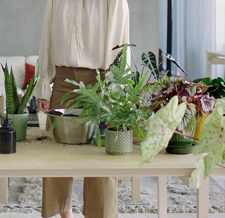 Air purifiers