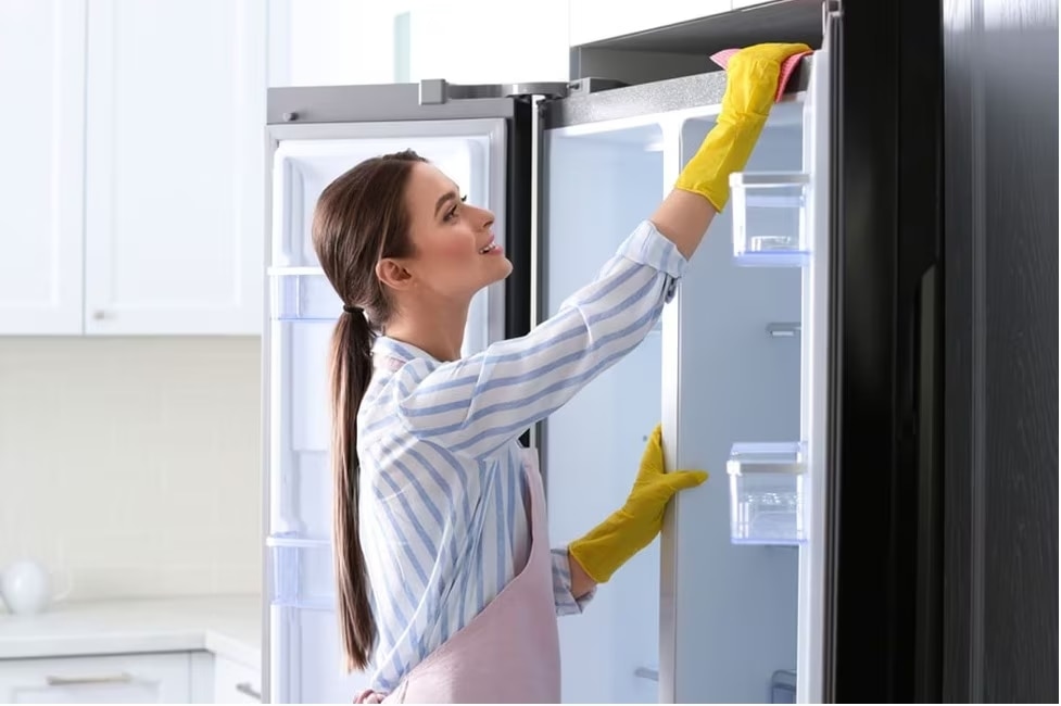 The essential refrigerator maintenance check-list