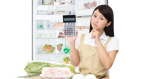 Effective refrigerator vs cheap refrigerator, which one is better?