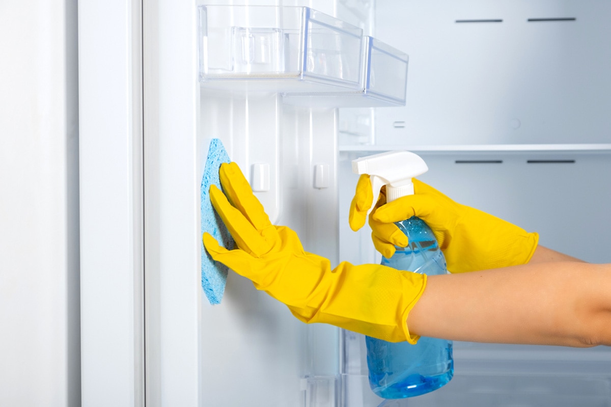 wash the inside of your refrigerator