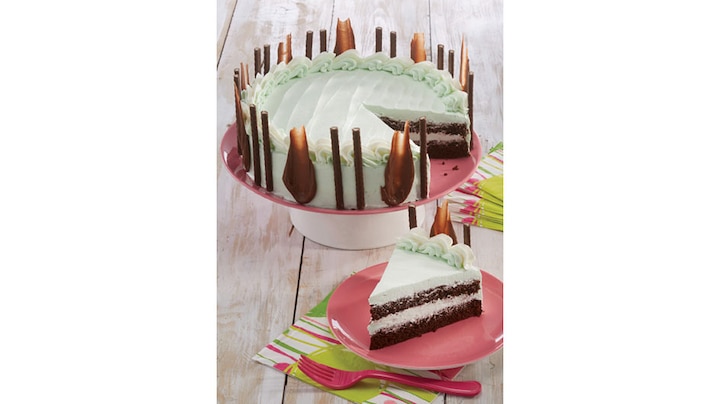 Chocolate Mint Cake