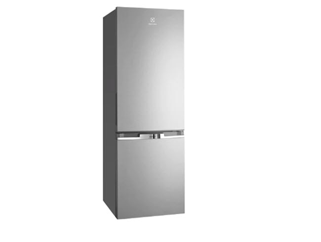 Fridge.jpg