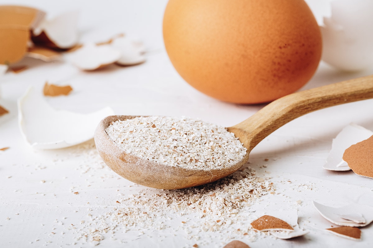 egg shells
