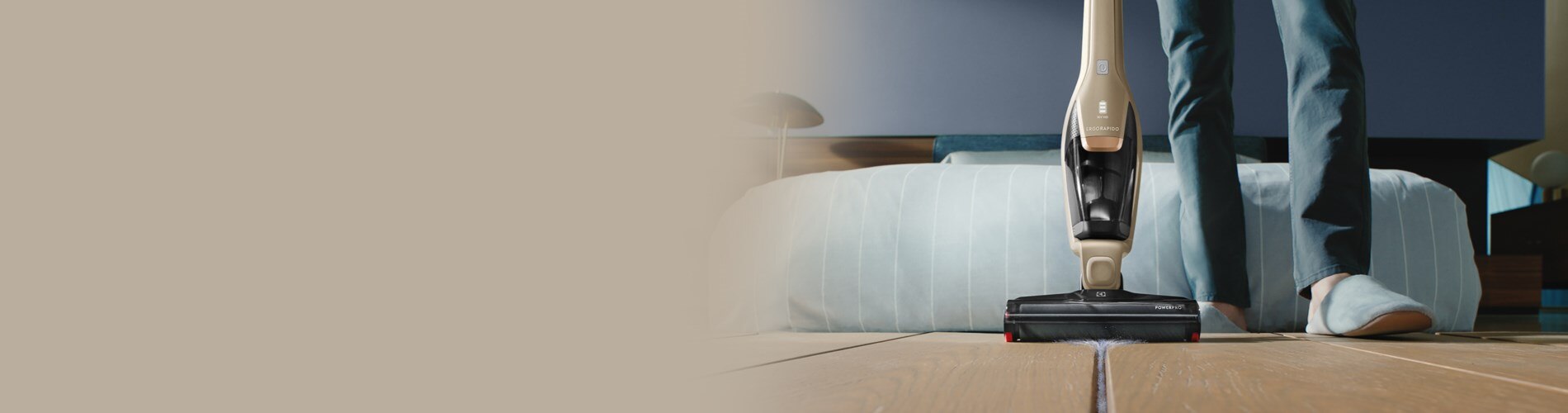 Free filter for ergorapido vacuum cleaner Electrolux Indonesia