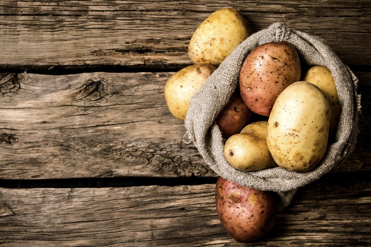 Potatoes should be stored in a dark and cool place