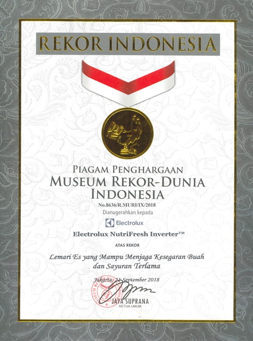 Electrolux Indonesia Piagam Penghargaan